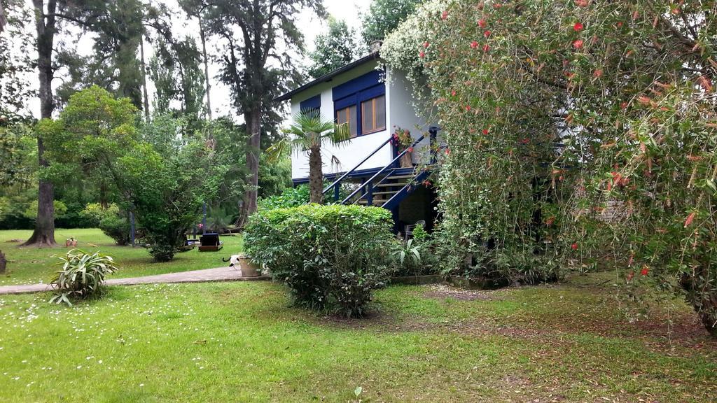 הוילה טיגרה Casa Del Bosque מראה חיצוני תמונה