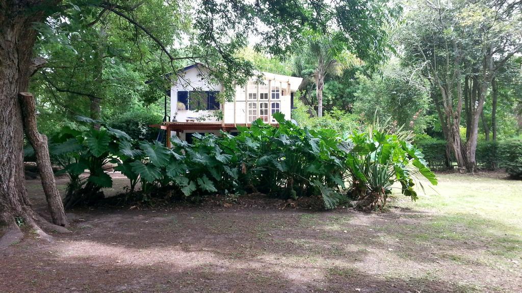 הוילה טיגרה Casa Del Bosque מראה חיצוני תמונה