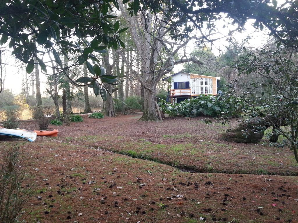 הוילה טיגרה Casa Del Bosque מראה חיצוני תמונה