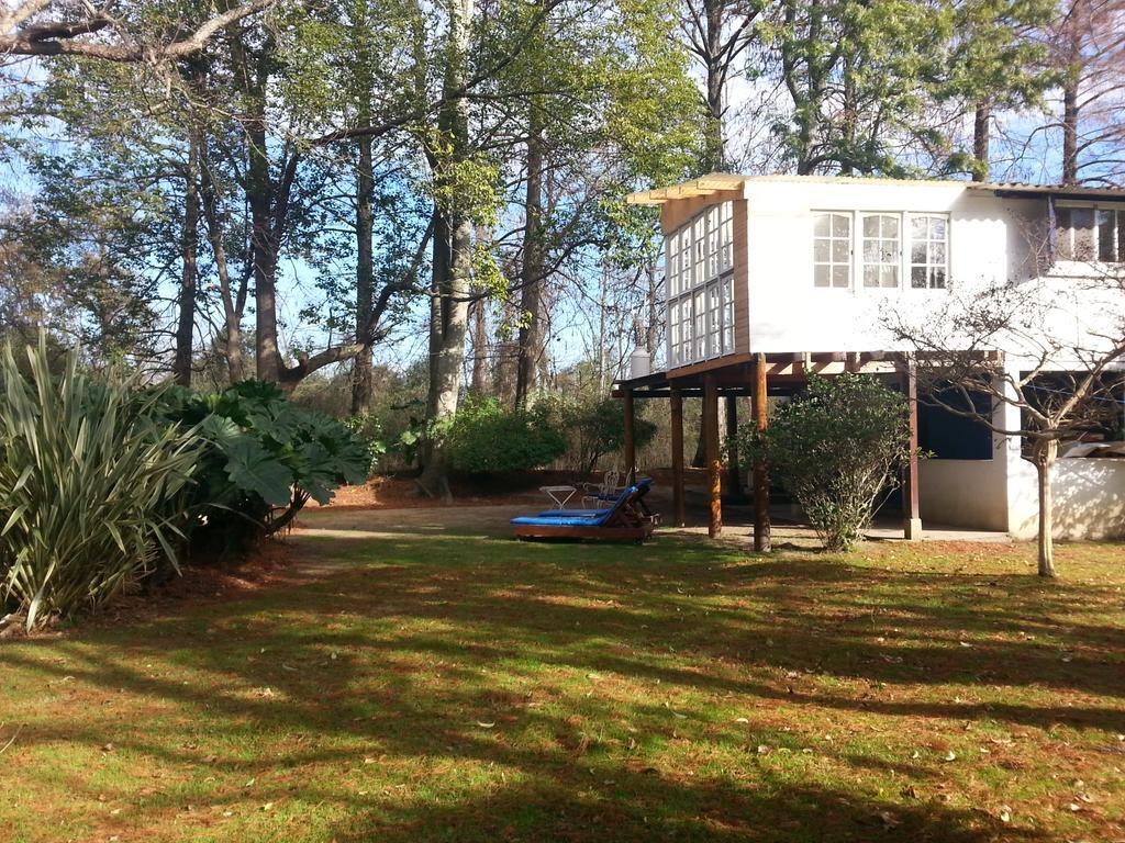 הוילה טיגרה Casa Del Bosque מראה חיצוני תמונה