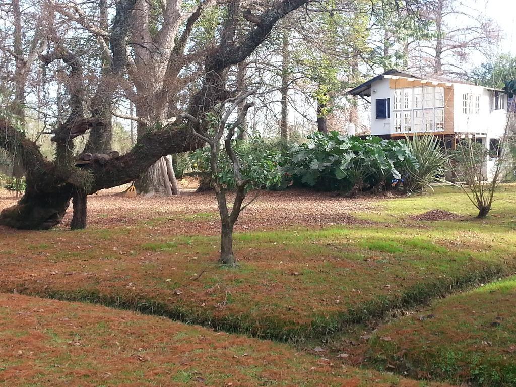הוילה טיגרה Casa Del Bosque מראה חיצוני תמונה