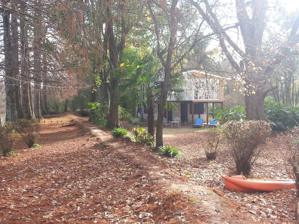 הוילה טיגרה Casa Del Bosque מראה חיצוני תמונה
