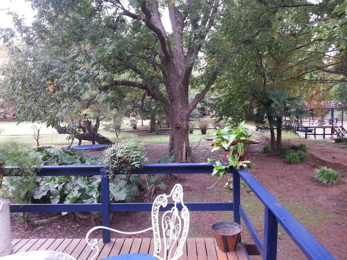 הוילה טיגרה Casa Del Bosque מראה חיצוני תמונה