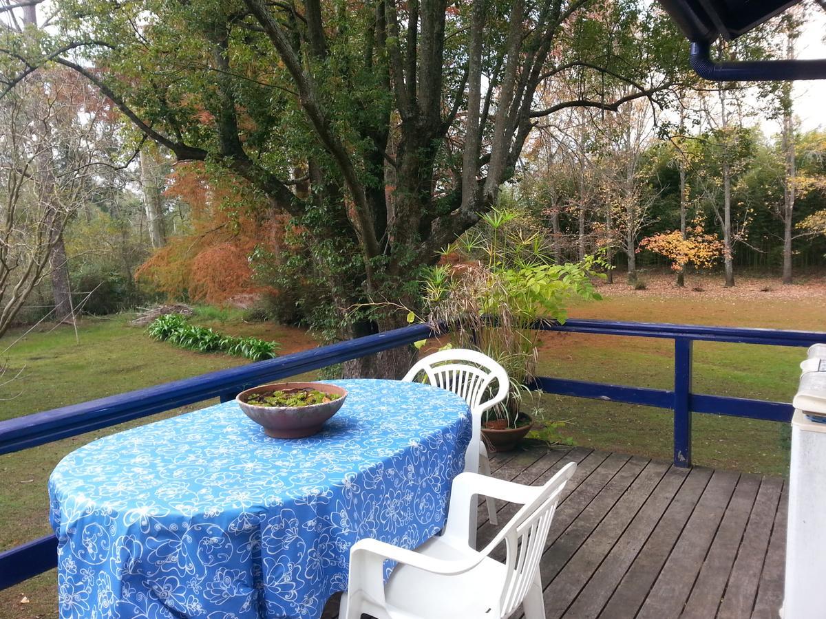 הוילה טיגרה Casa Del Bosque מראה חיצוני תמונה