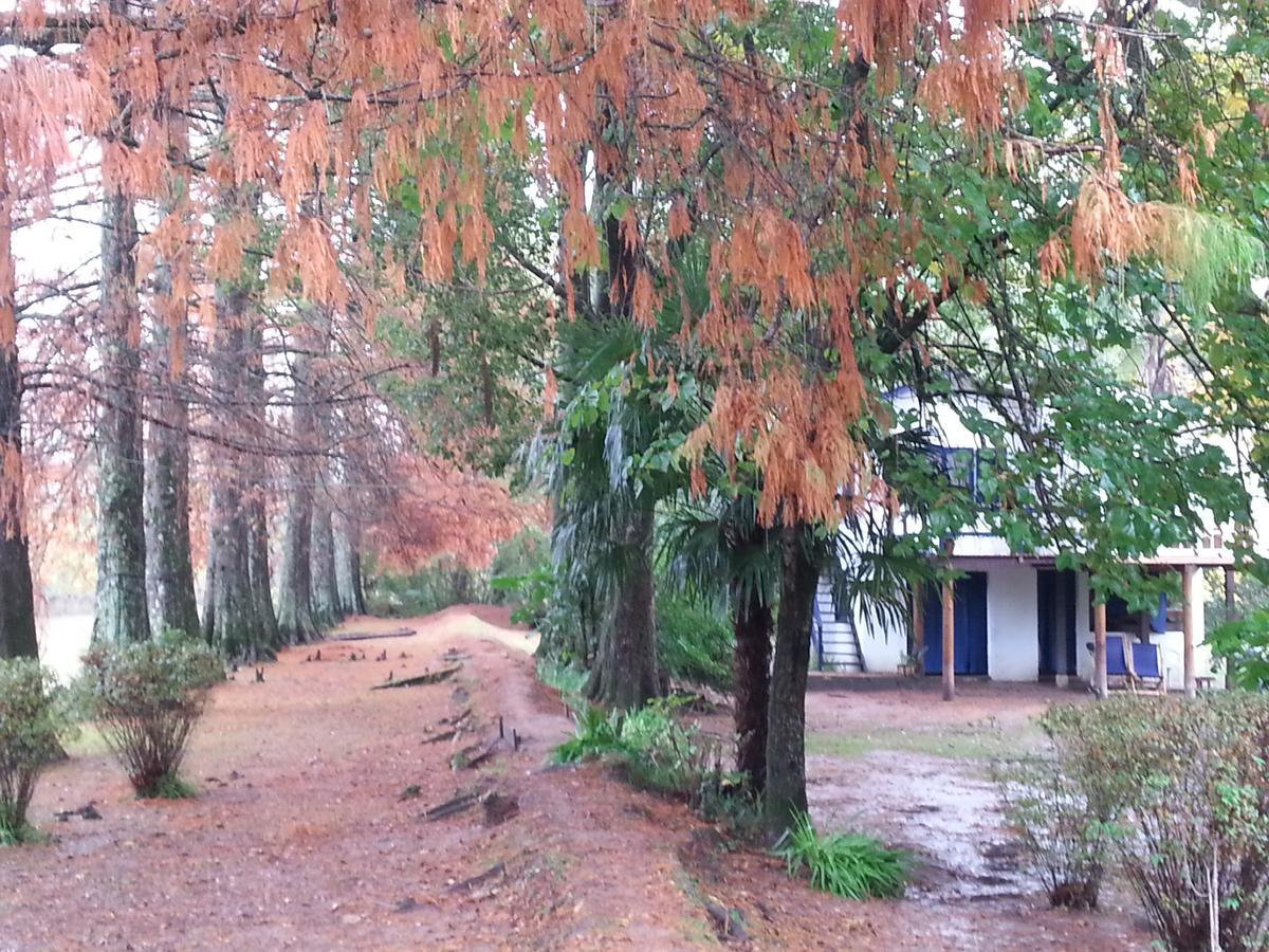 הוילה טיגרה Casa Del Bosque מראה חיצוני תמונה